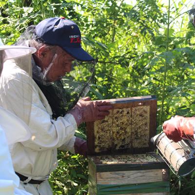 ふるさと納税 合志市 立山養蜂場　国産百花蜂蜜500g |  | 01