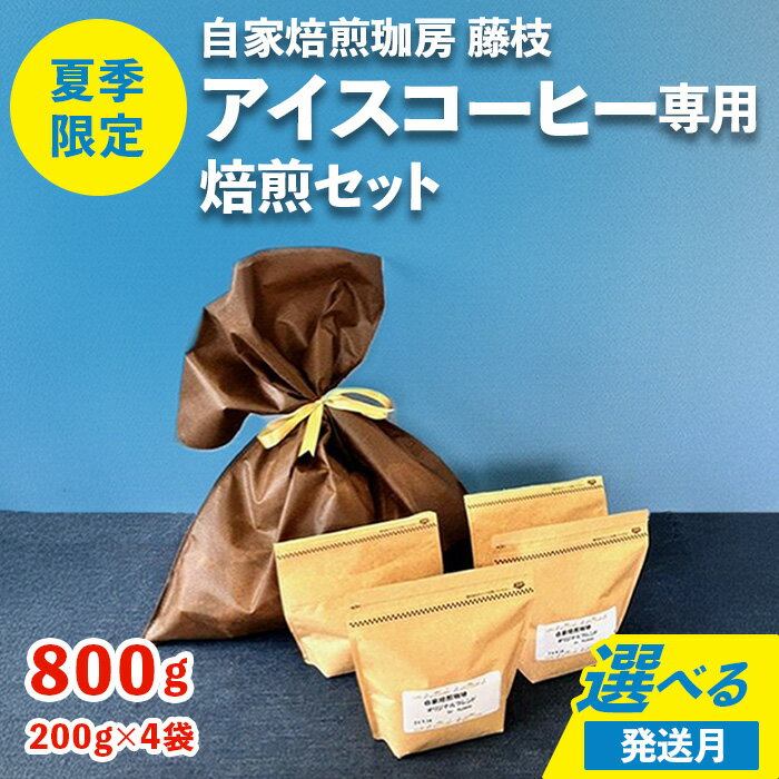 【ふるさと納税】珈琲 アイスコーヒー アイス珈琲 焙煎 自家焙煎 中細挽き オリジナルブレンド グアテマラ ブラジル タンザニア アウトドア キャンプ 夏季限定 藤枝 専用焙煎セット 200g×4袋
