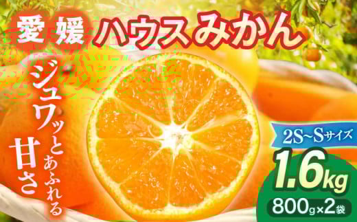 【7月下旬より順次発送】口いっぱいに甘さ広がる！大洲産ハウスみかん（2S～Sサイズ）800g×2袋 愛媛県大洲市/沢井青果有限会社 [AGBN020]果物 フルーツ みかん ミカン ハウスみかん 愛媛みかん 愛媛県 柑橘