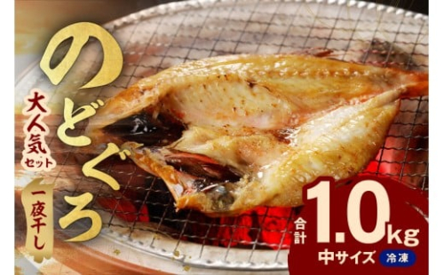 シーライフ のどぐろ一夜干し7～8枚で計1.0kg 「大人気セット」 アカムツ 干物 一夜干し 手頃 小分け 個包装 贈答 ギフト プレゼント 贈り物 【005_2065】