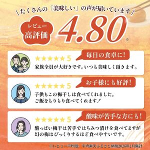 梅干し 岡畑農園の幻の梅干し 塩分約5％大容量1kg 【okh001】