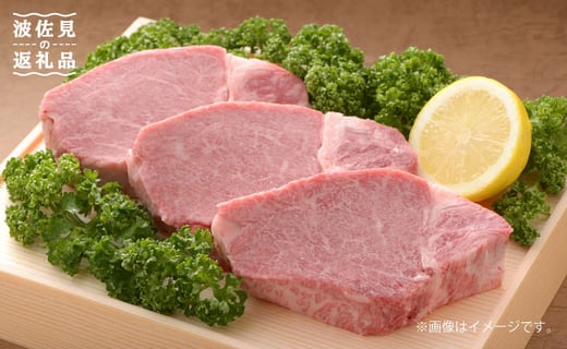
長崎県産 黒毛和牛 ヒレステーキ 180g×2枚 [FB08]
