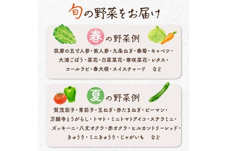【年4回定期便】春夏秋冬自然栽培野菜セット(年4回)2～3人用