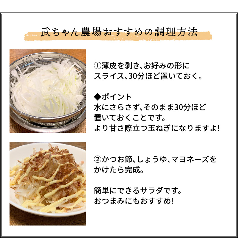 【2026年発送】【食品ロス削減】（訳あり）笑顔で笑顔を作る武ちゃん農場の新玉ねぎ“玉笑ちゃん” 9個　H095-030