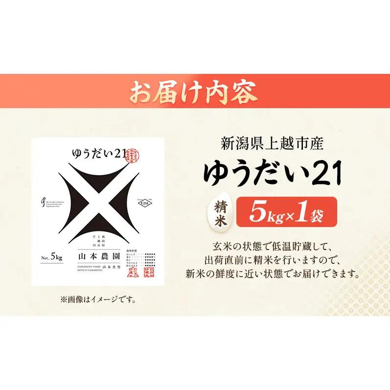 【先行予約】特別栽培米 ゆうだい21 5kg 山本農園 ゆうだい21