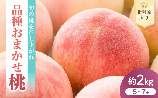 【先行予約】 数量限定 令和8年産 もも 品種 おまかせ 約2kg 5～7玉 桃 2026年8月中下旬～9月上旬頃 お届け予定 山形県 米沢市