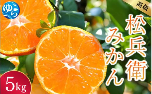 【先行予約】高級松兵衛みかん 5ｋｇ  ※2025年10月下旬頃～2026年1月上旬頃に順次発送予定 / 和歌山県 柑橘 みかん 甘い 蜜柑 フルーツ 果物 くだもの 食品 人気  晩柑 おすすめ 送料無料 産地直送 由良町【nus003】