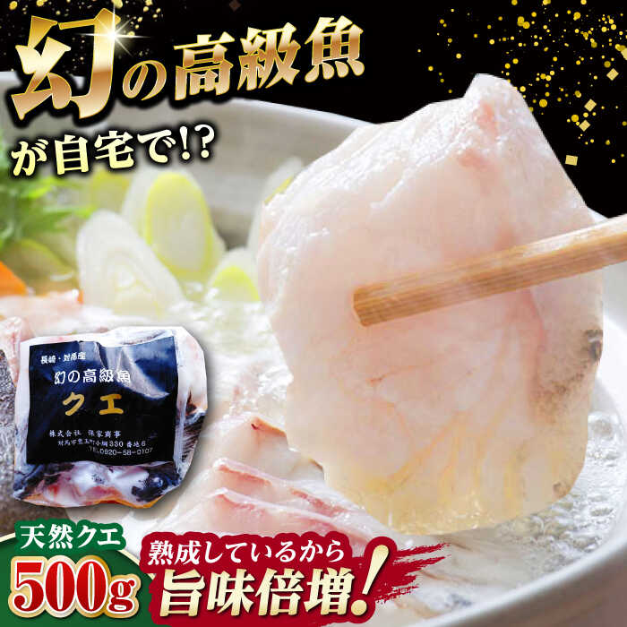 【ふるさと納税】【迷ったらコレ！】対馬産 幻の高級魚 クエ 500g《対馬市》【保家商事】 [WAA004] 冷凍配送 くえ アラ 切身 海鮮 鮮魚 魚介 九州 長崎 対馬 魚 魚介類 クエ鍋 特産品 幻 白身魚 高級 貴重 くえ クエ アラ 切身 鍋 ぶつ切り