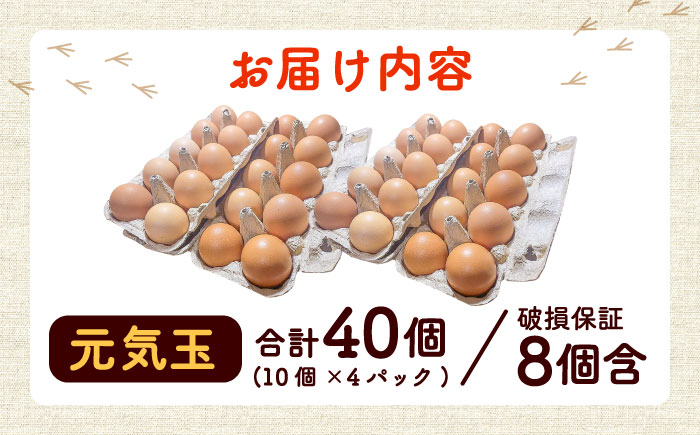 平飼い新鮮たまご 元気玉 計40個(10個×4パック) / 卵 ぷりぷり 新鮮 玉子 オムレツ たまごかけごはん 朝食 鶏卵 タンパク質 平飼い 濃厚 こく 熊本県 菊陽町【ぴよっこファーム】 [BH