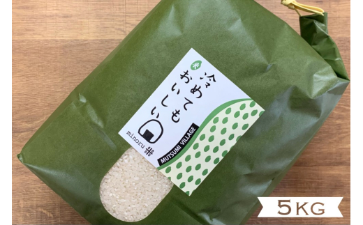 コシヒカリ 5kg みのる米 野菜ソムリエ プロselect 萩のお米 萩市 むつみ産 米 お米 白米　｜HG001020