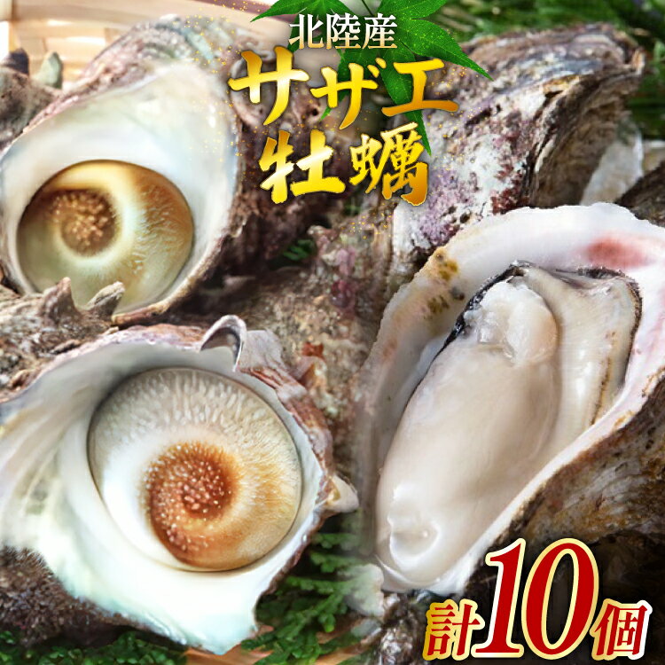 【ふるさと納税】 牡蠣 サザエ 各5個 水揚げ直送セット [聖徳丸 富山県 朝日町 34310517] 岩牡蠣 さざえ カキ