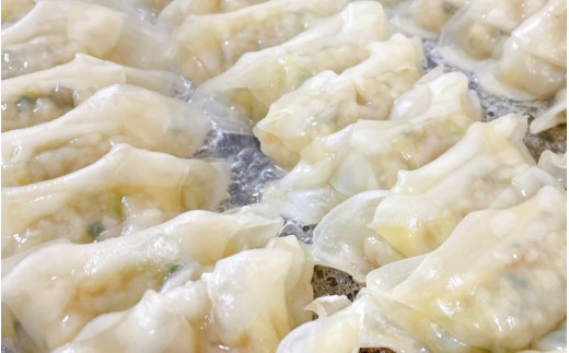 大西の餃子パーティーセット(にんにく餃子・梅餃子)　25個入り×各2パック　計100個 / 和歌山県 田辺市 ぎょうざ ギョウザ ギョーザ にんにく不使用 手作り 紀州うめぶた 紀州南高梅 南高梅 宝梅使用 無添加 冷凍【gyz009-3】