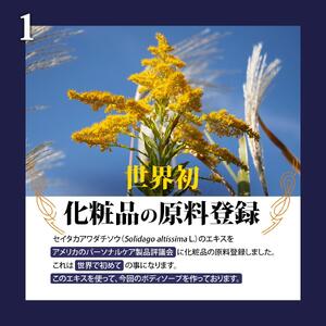 ボディソープ ゴールデンロッド 500ml 33回 | 世界初 植物エキス 保湿 無着色 天然 ギフト 日本製 美容 化粧品 雑草 セイタカアワダチソウ