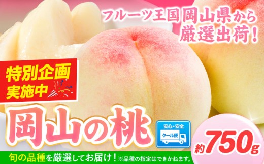 【豊作につき特別寄附額】 最短翌日発送！ 桃  岡山の桃 約750g 《1～5営業日以内に出荷》 岡山県 矢掛町 桃 もも 先行予約 もも 白鳳 もも 桃 先行予約 桃 先行予約 桃 もも
