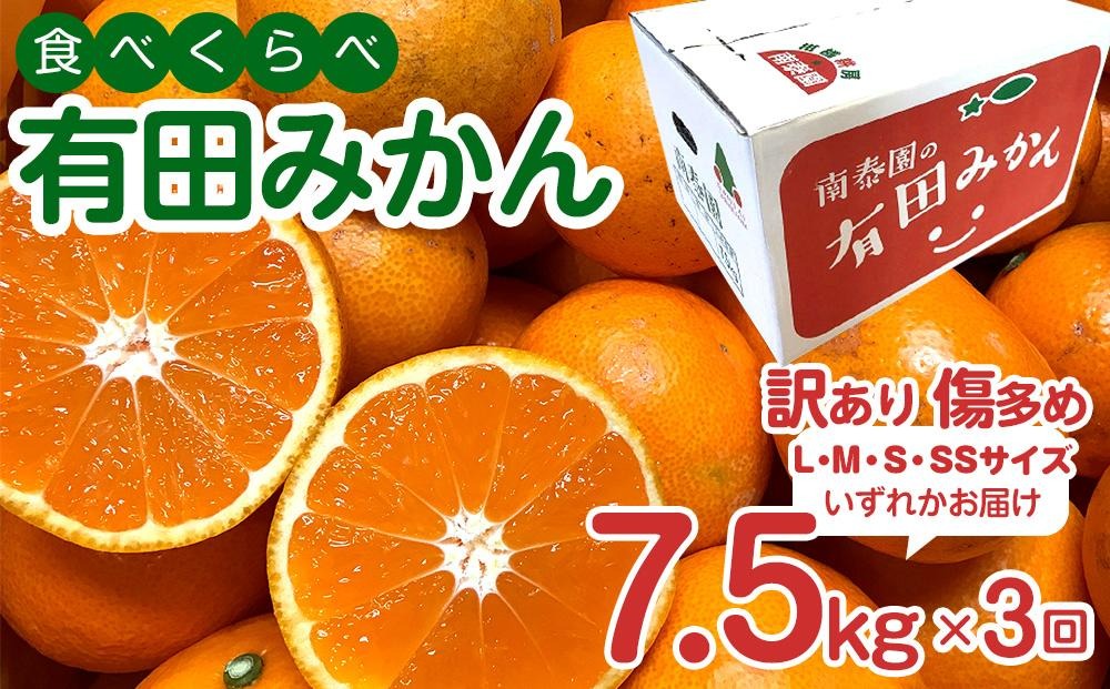 定期便 訳あり 傷多め 7.5kg × 3回 コース 有田みかん 食べくらべ 3種 全3回 南泰園 みかん  	BS825