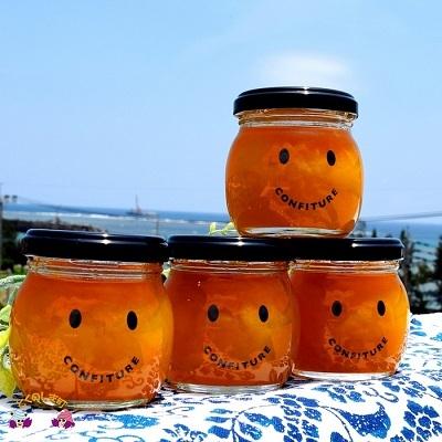 ふるさと納税 徳之島町 徳之島産マンゴーごろごろコンフィチュール ( ジャム 果肉 パン )