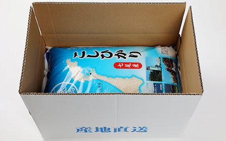 【令和5年産】七尾産こしひかり10kg(精米5kg×2袋)【1144037】