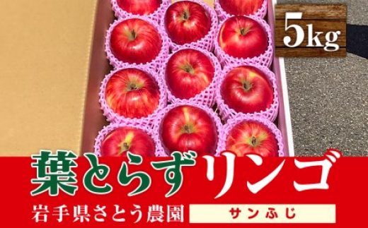 先行予約 葉とらずりんご サンふじ 5kg りんご 季節限定 リンゴ 林檎 産地直送 新鮮 アップル くだもの 果物 フルーツ ふじ おうりん 旬 盛岡りんご 旬のりんご 甘い あまい 果実 秋 冬 特産 盛岡市産 盛岡産 岩手産 国産 農家 岩手県 盛岡市 岩手 盛岡 有限会社トゥレイス treis007