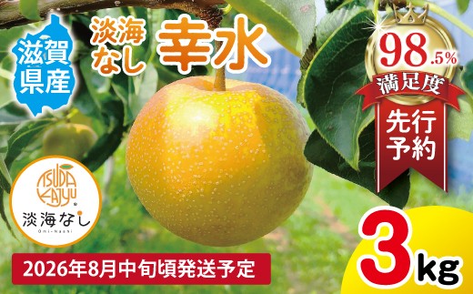 【先行予約】【数量限定】淡海なし　幸水　3kg箱入り（サイズ：2L～7L　5～10個入り） 【K127W】