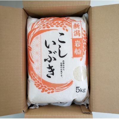 ふるさと納税 村上市 【新米受付・令和7年産米】 こしいぶき 白米5kg(5kg×1袋)新潟県村上市岩船産1067101N |  | 01