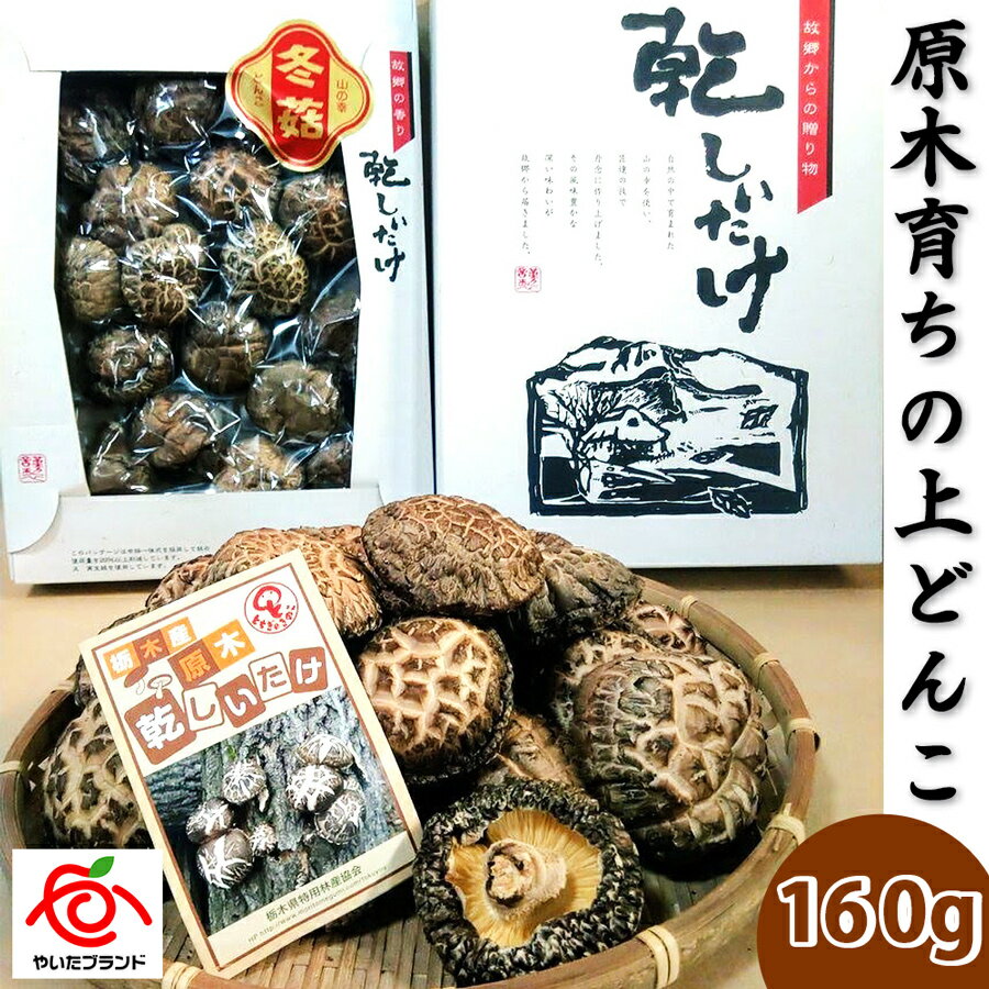 肉厚・厳選！原木育ちの上どんこ160g｜栃木県 矢板市 しいたけ 椎茸 産地直送 [0333]