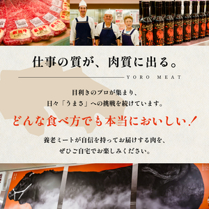 飛騨牛ロースステーキ用 200g×2枚【0091-005】