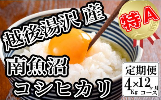 
令和6年産【精米4㎏/12回定期便】「越後湯沢産」【湯沢産コシヒカリ】
