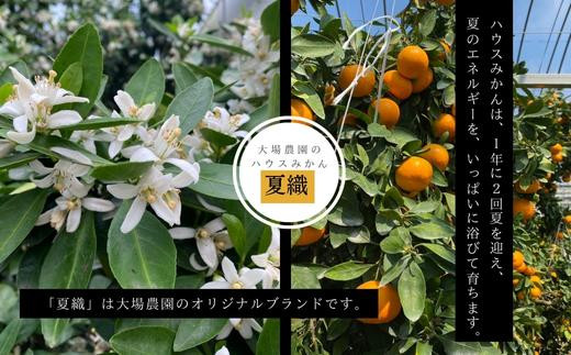夏の心と体に美味しく染み渡るハウスみかん。