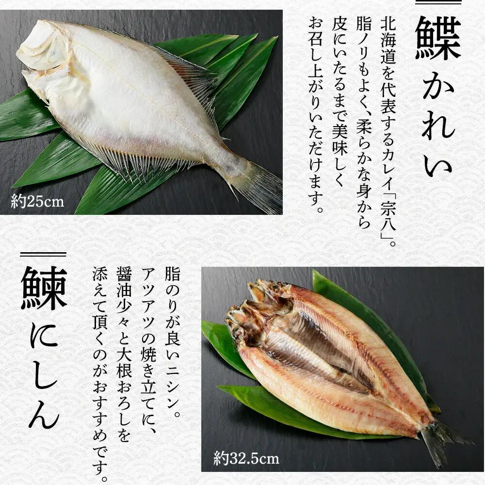 ふっくらやわらか 干物 5点セット 真ホッケ サンマ カレイ ニシン サバ 秋刀魚 宗八鰈 鰊 鯖 海鮮 ほっけ 送料無料 北海道 弟子屈町 2522