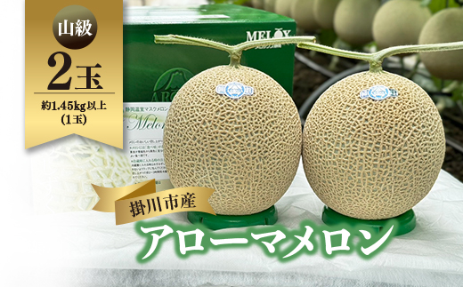 静岡温室マスクメロン アローマ印　　　　　山級約1.45kg以上　2玉【配送不可地域：離島・北海道・沖縄県】