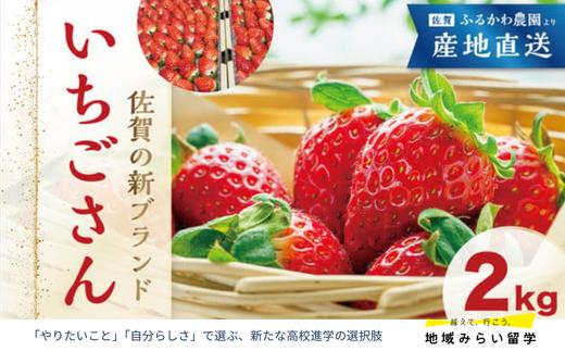 
【ふるかわ農園】いちごさん 2kg
