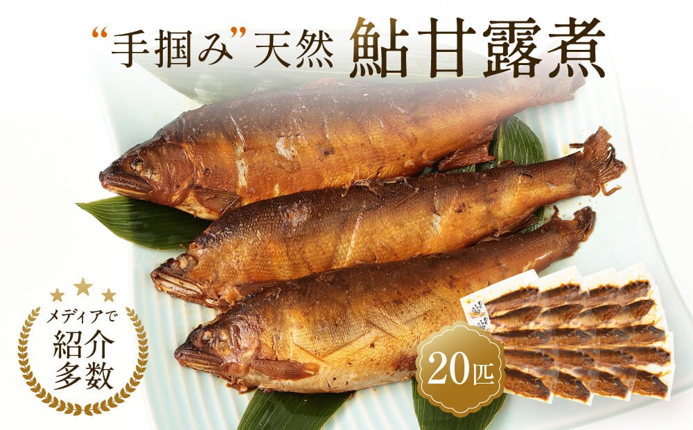 
            【個包装】秘伝のタレ使用！手掴み天然鮎甘露煮（20匹）| 化学調味料不使用 天然 魚 鮎 おいしい 食品 高山 有限会社井根鉄筋 SF004
          