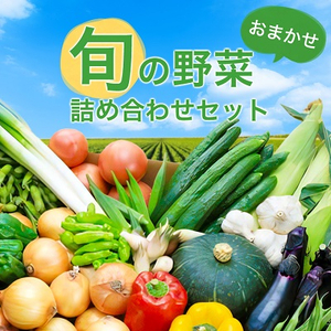 旬の野菜詰め合わせセット(石安米肥店)【配送不可地域：離島】【1017731】