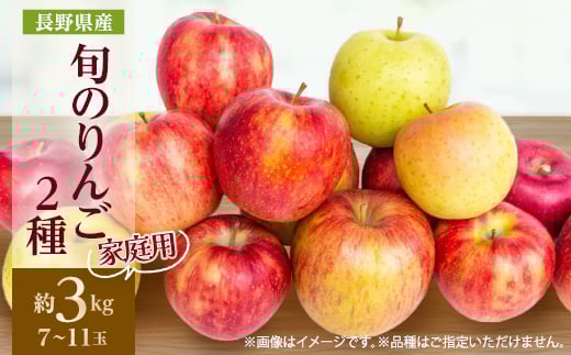 ＜2025年発送＞家庭用　長野県北信州のりんご　約3kg(7～11玉)おまかせ2品種【1575397】