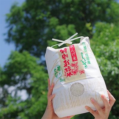 ふるさと納税 庄原市 夢のひかり　5kg(こしひかり) |  | 02