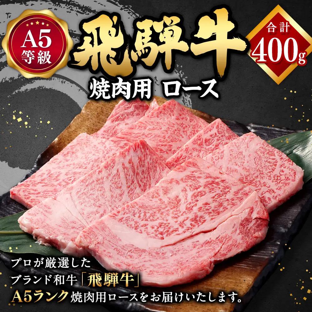 【ふるなびWEEK対象】 飛騨牛 A5 等級 焼肉 用 （ ロース 400g）