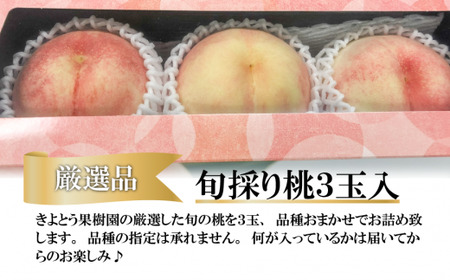 【きよとうファーム】厳選品 旬の桃（品種おまかせ）3玉入 (岡山県産)【KF-A016-02】