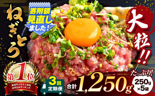 【定期便・3ヶ月】清幸丸水産 大人気！ねぎとろ（250g×5袋）1250g | ネギトロ とろ 鮪 海鮮 魚介 魚 人気 小分け 人気 定番 ご飯 オススメ 千葉県 君津市 きみつ