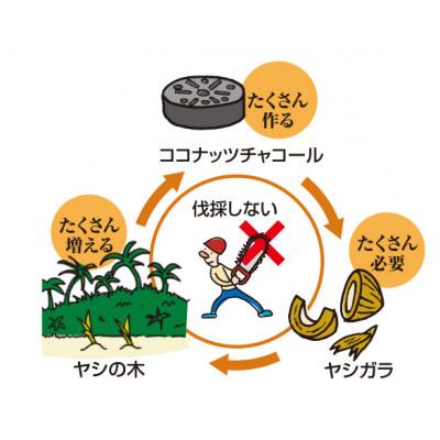 ふるさと納税 城陽市 エコココロゴス・ミニラウンドDECO4　BBQなどアウトドアで使える炭　83100114×2pcs |  | 02
