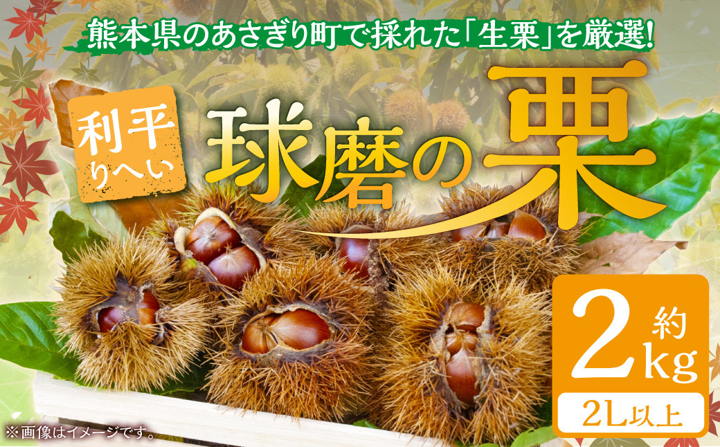 
            【発送時期：2025年9月中旬～9月下旬】熊本県ＪＡくま産　球磨の栗　利平 2kg(2L以上)
          