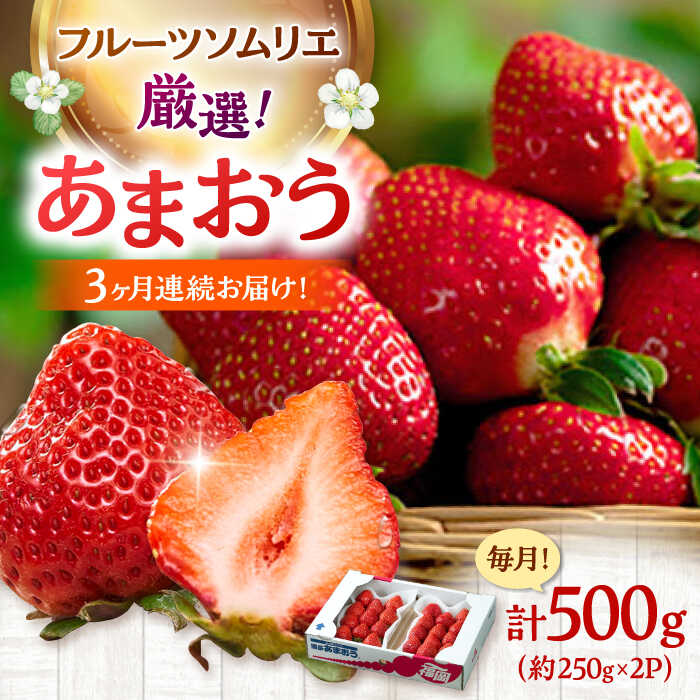 【ふるさと納税】【全3回定期便】福岡産【冬】あまおう2パック ▼ イチゴ 苺 福岡 あまおう 果物 フルーツ 定期便 桂川町/南国フルーツ株式会社[ADBW043]