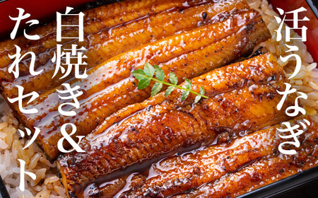 うなぎ 白焼き鰻 お店の味を楽しめる 国産うなぎセット（うな重3人前：約330g）国産 ウナギ 鰻蒲焼 鰻 鰻 鰻 鰻 鰻 鰻 鰻