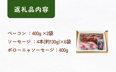 放牧豚 加工品セットD 富山県 氷見市 ポーク 肉 ウインナー ソーセージ ベーコン ボローニャ