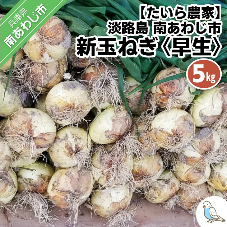【ふるさと納税】新玉ねぎ　淡路島　南あわじ市　5kg　早生　◆配送4月下旬〜5月下旬