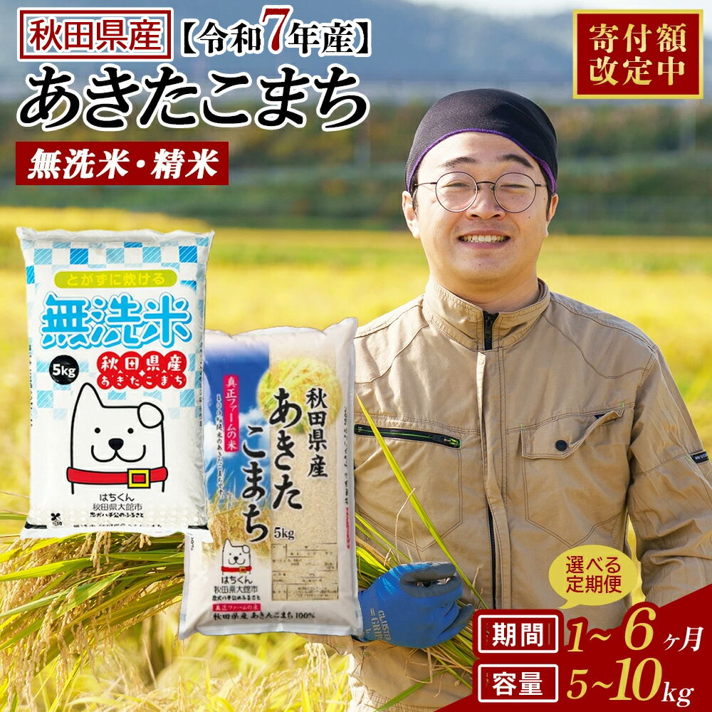 【ふるさと納税】期間限定！【家計応援】【令和7年産】【選べる容量・お届け回数】秋田県産「あきたこまち」無洗米or普通米 5kg・10kg(5kg×2袋) 1・3・6回 【2025年産 白米 精米 国産 旨み 香り 栄養 のし対応可能 おにぎり お弁当 真正ファーム 送料無料】