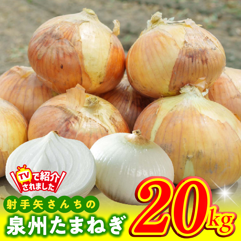 【先行予約】射手矢さんちの泉州たまねぎ 20kg【玉ねぎ タマネギ 玉葱 甘い 野菜 国産 期間限定 オニオン スライス サラダ カレー シチュー バーベキュー BBQ 肉じゃが TVで紹介！】 G3