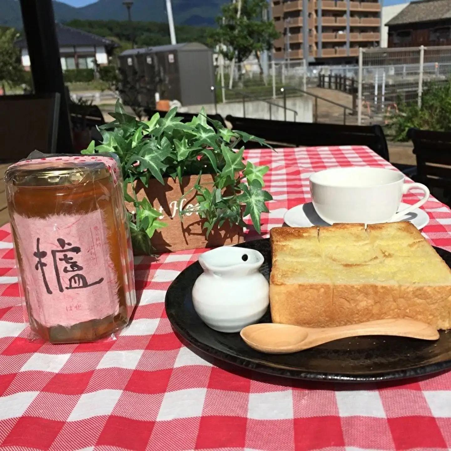 国産 純粋 はちみつ 櫨 （はぜ） 400g×2本 _b-171