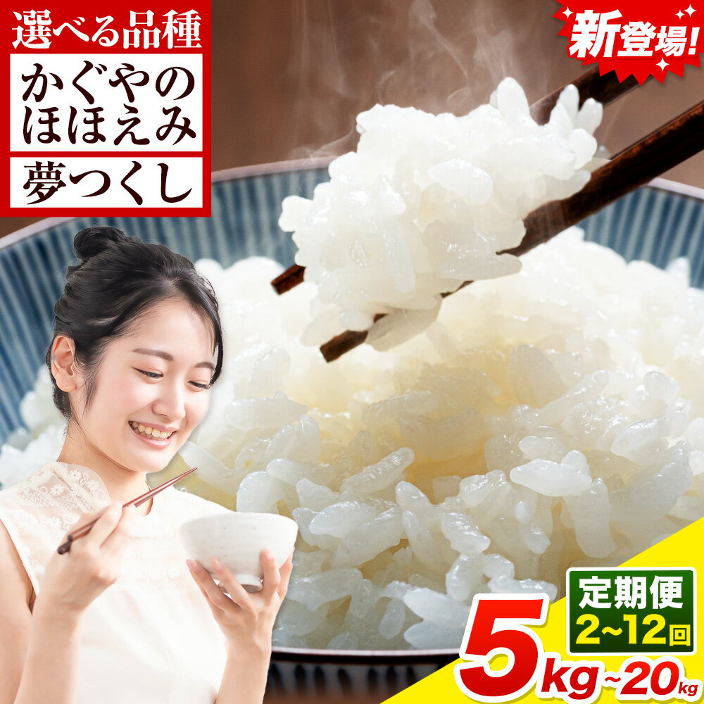 【ふるさと納税】新登場 米 かぐやのほほえみ 令和7年産 夢つくし 選べる 5kg 10kg 15kg 20kg 定期便あり 白米 《1回：11月中旬-12月末頃出荷》《定期便：12月から出荷開始》《選べるお届け内容》精米 福岡県 小竹町 お米 ブレンド米 国産 2ヶ月 3ヶ月 6ヶ月 9か月 12ヶ月