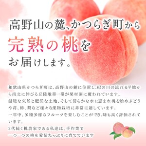 もも あまくてとろ～り芳醇な桃【5～6玉】【先行予約】【2026年6月下旬～8月上旬順次発送】 かつらぎ町 【aozf001】