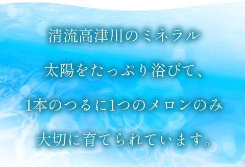 A-761 ［秋作］糖度厳選プレミアム アールスメロン 1玉